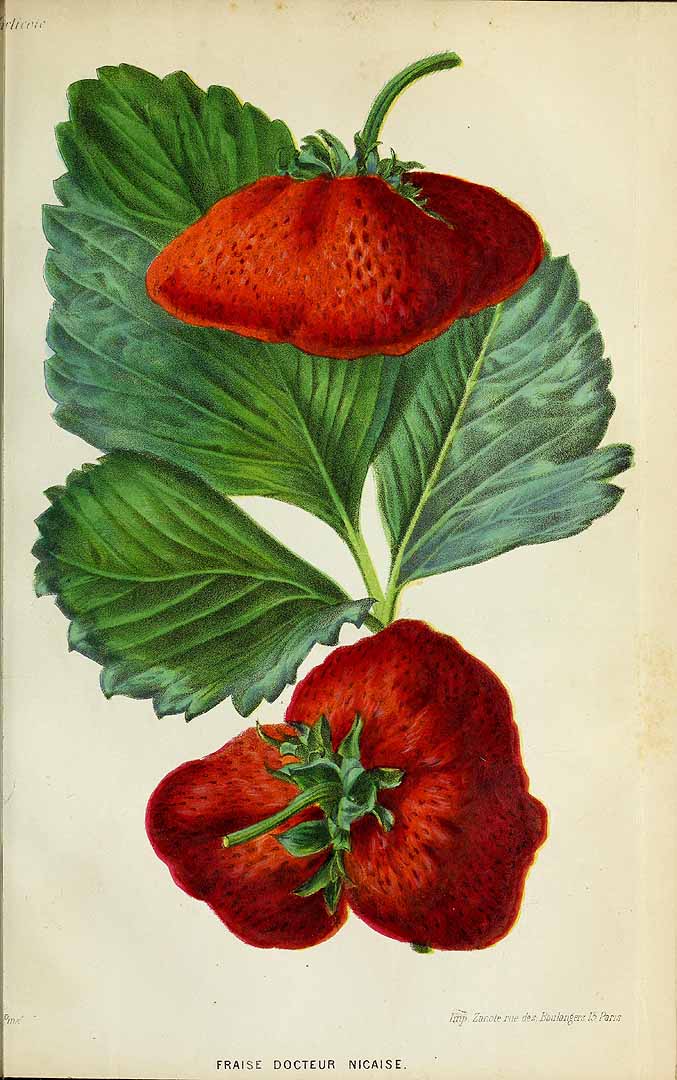 no HD illustration available (3)