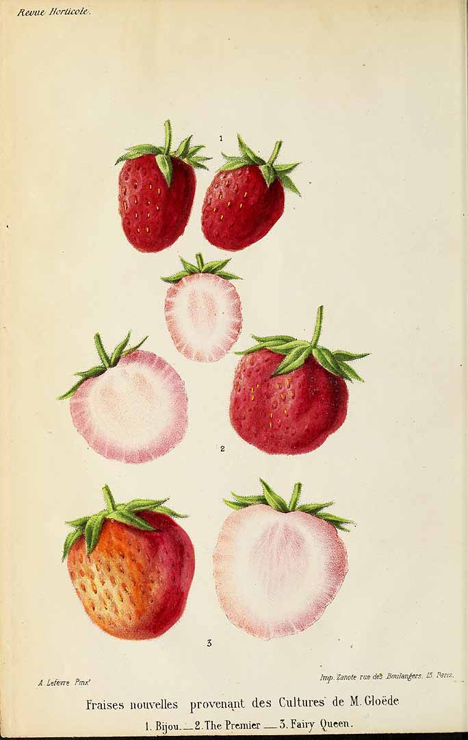 no HD illustration available (3)