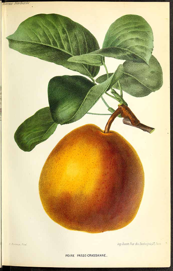 no HD illustration available (3)