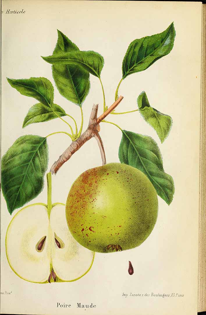 no HD illustration available (3)