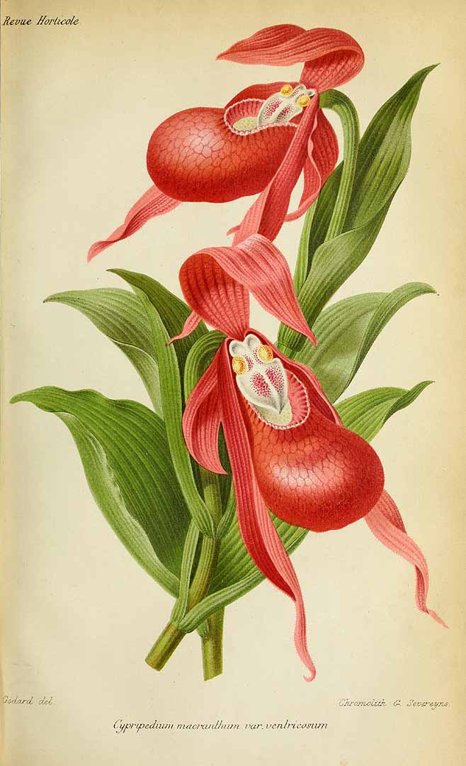 no HD illustration available (3)