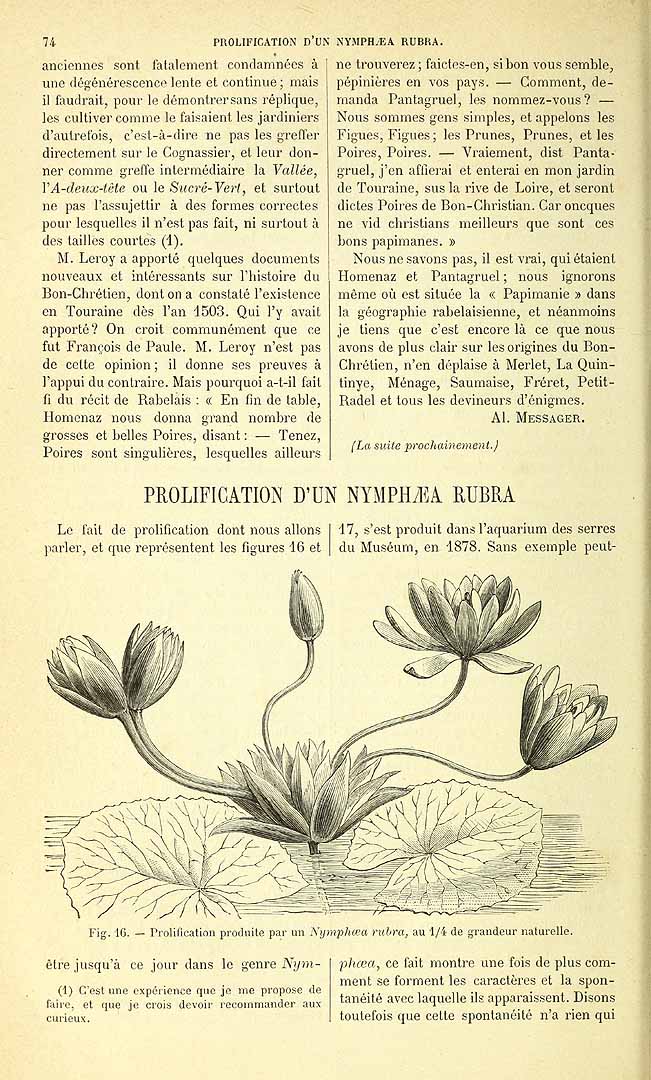 no HD illustration available (3)