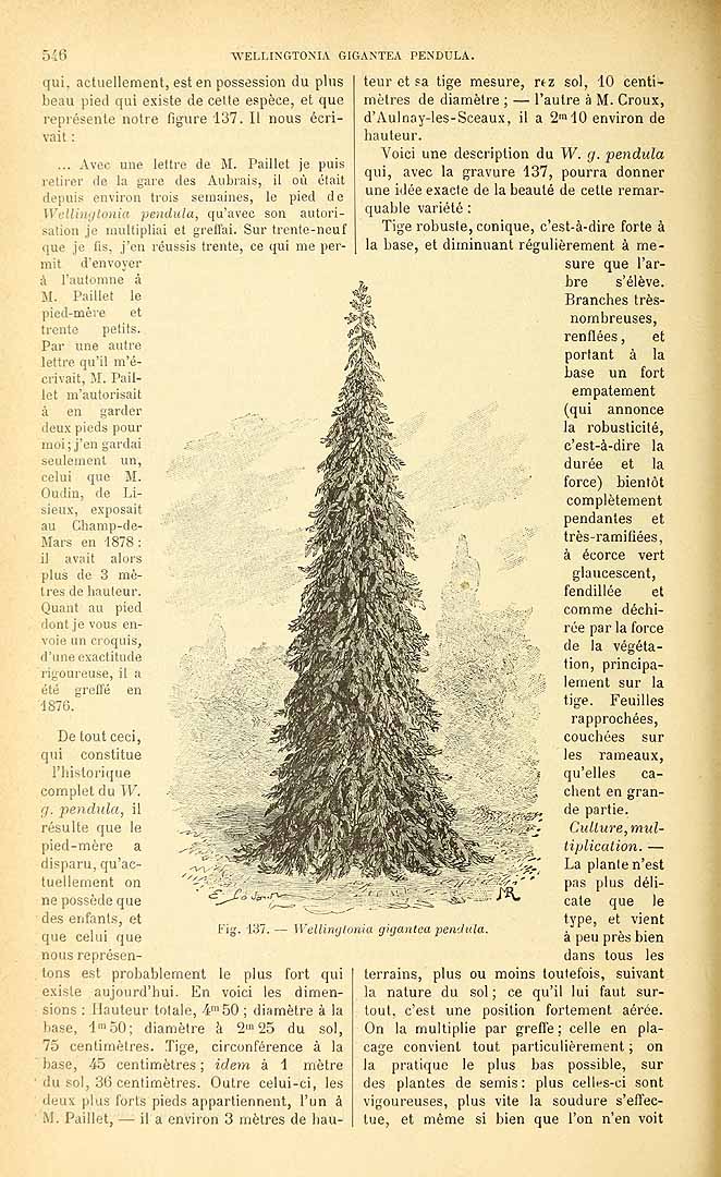 no HD illustration available (3)