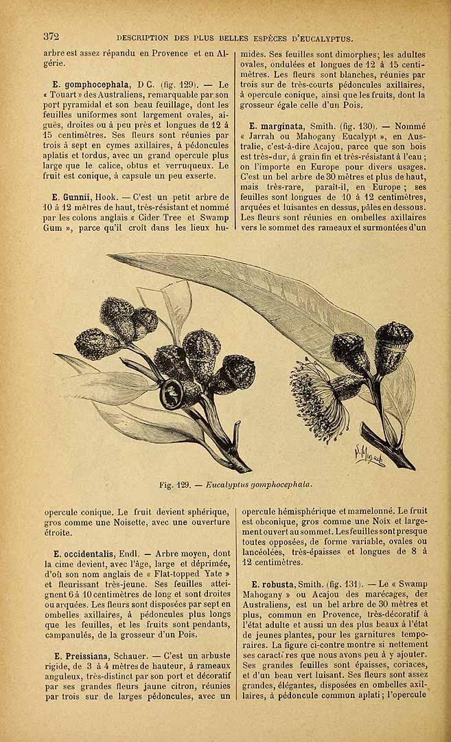 no HD illustration available (3)