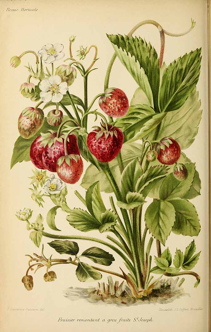 no HD illustration available (3)