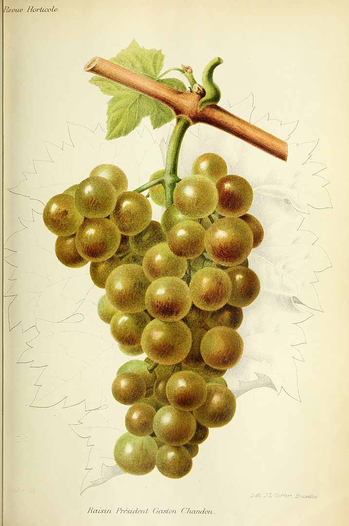 no HD illustration available (3)