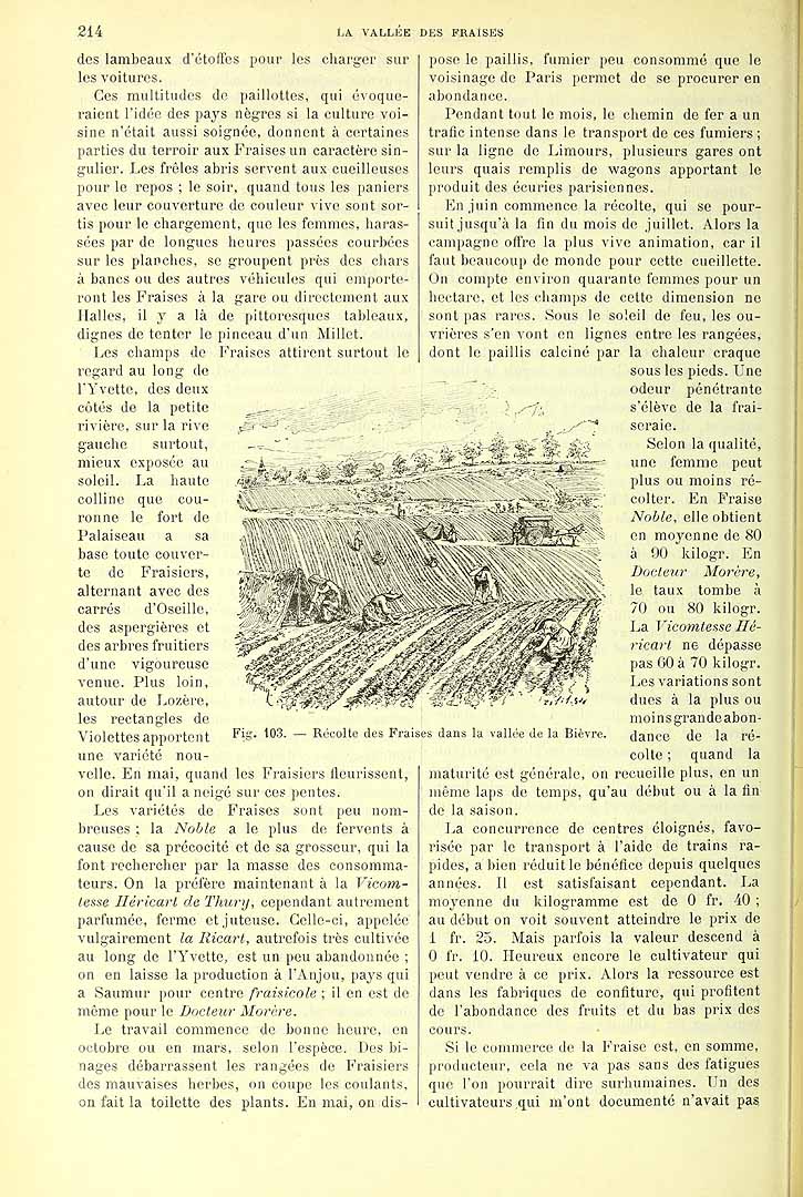 no HD illustration available (3)