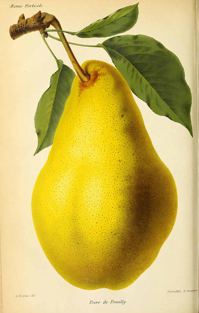 no HD illustration available (3)