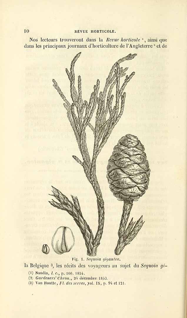 no HD illustration available (3)