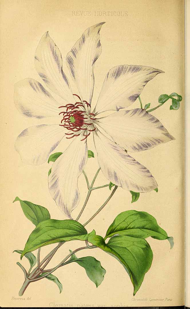 no HD illustration available (3)