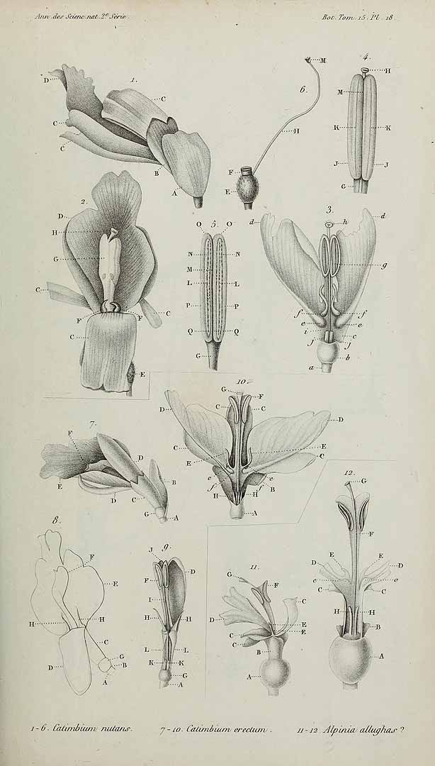 no HD illustration available (3)