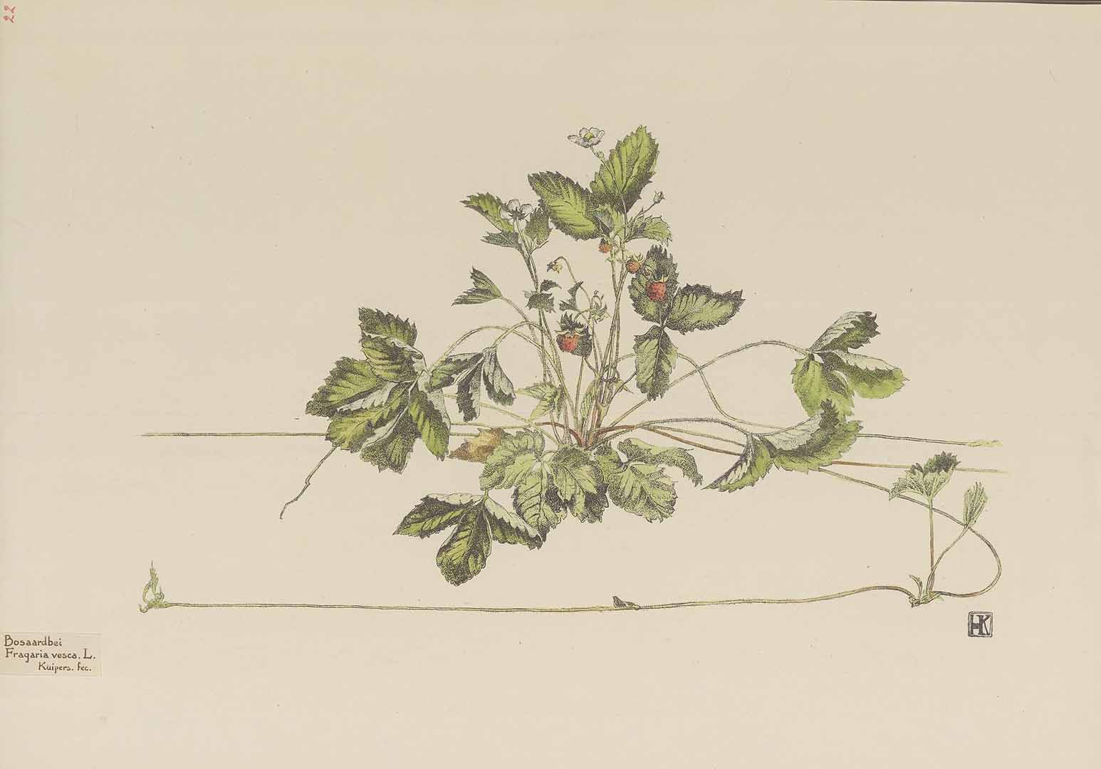 no HD illustration available (3)