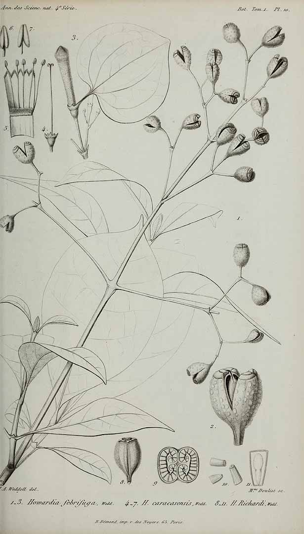 no HD illustration available (3)