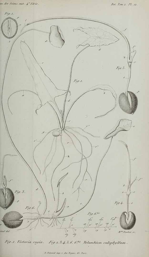 no HD illustration available (3)