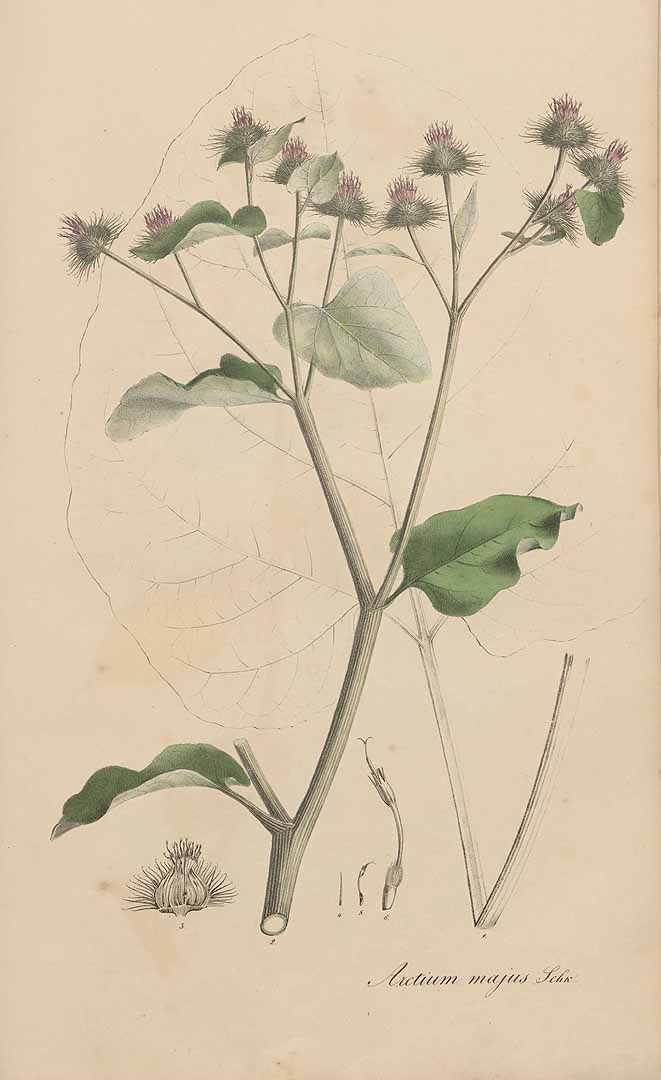 no HD illustration available (3)