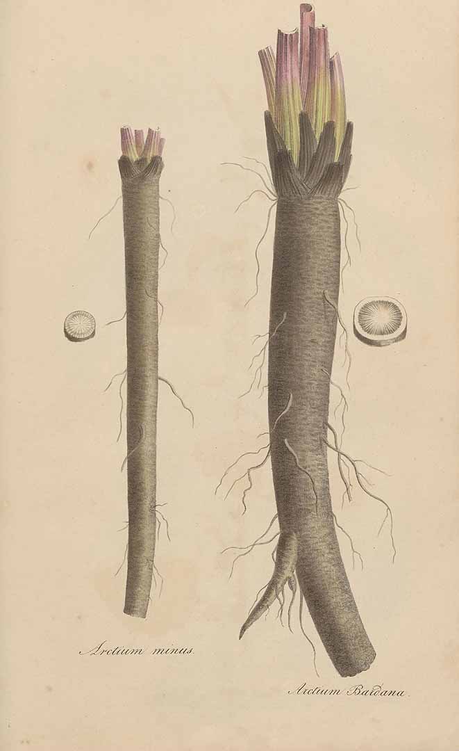 no HD illustration available (3)