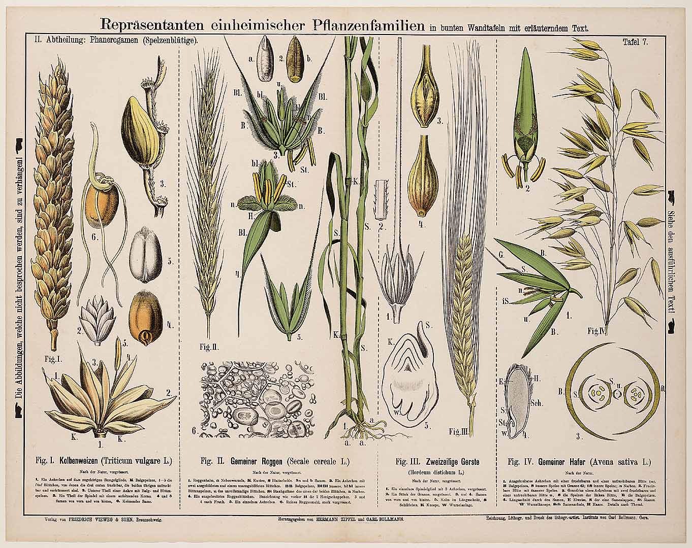 no HD illustration available (3)