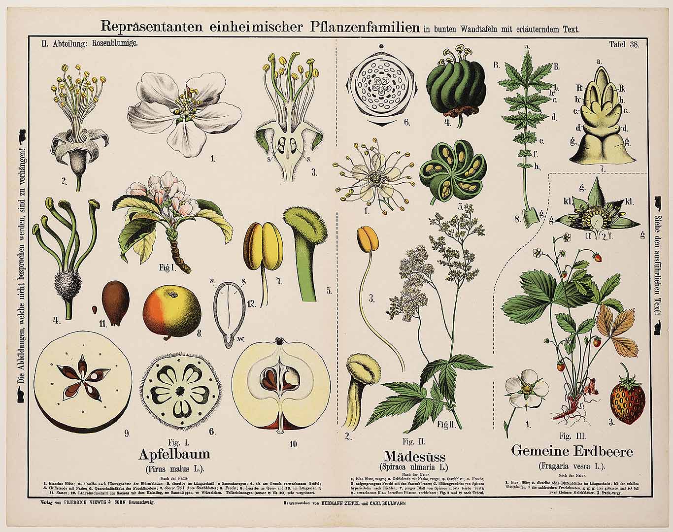 no HD illustration available (3)