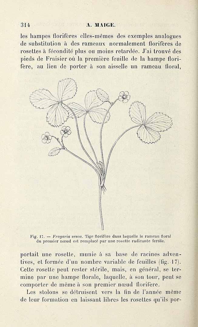 no HD illustration available (3)