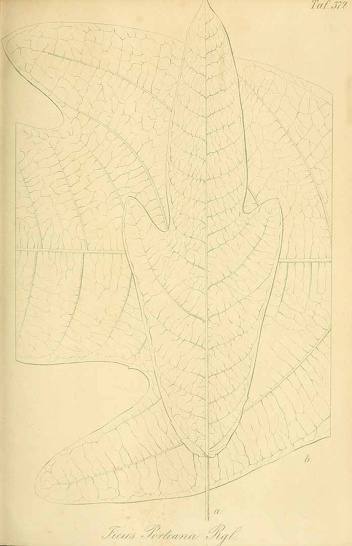 no HD illustration available (3)