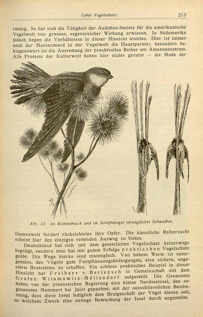 no HD illustration available (3)