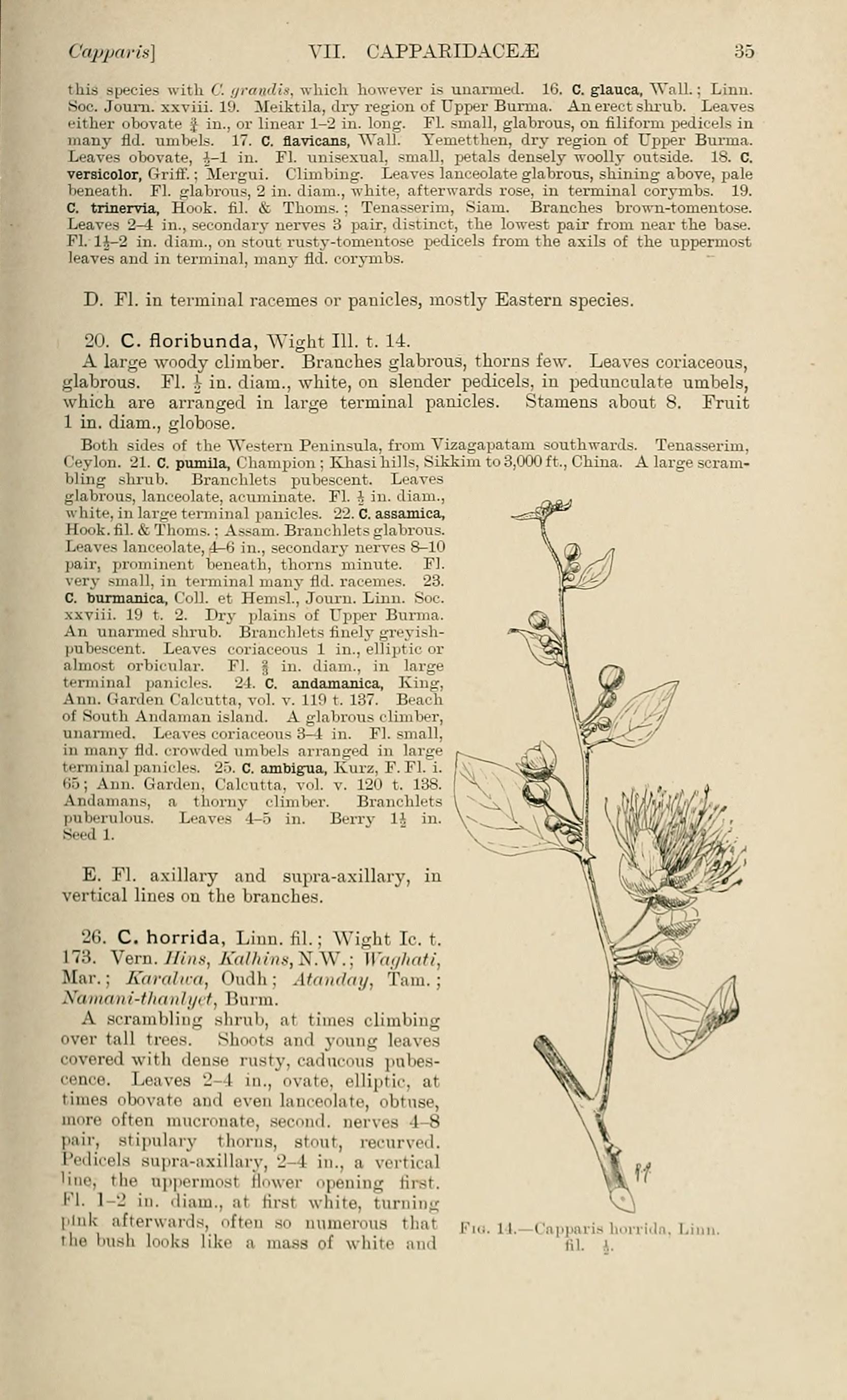 no HD illustration available (3)