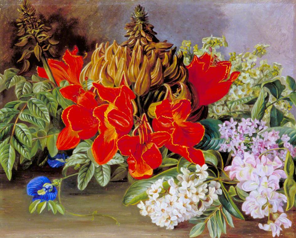 no HD illustration available (3)