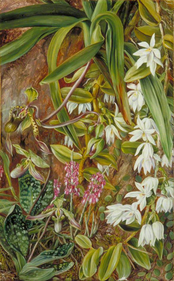 no HD illustration available (3)