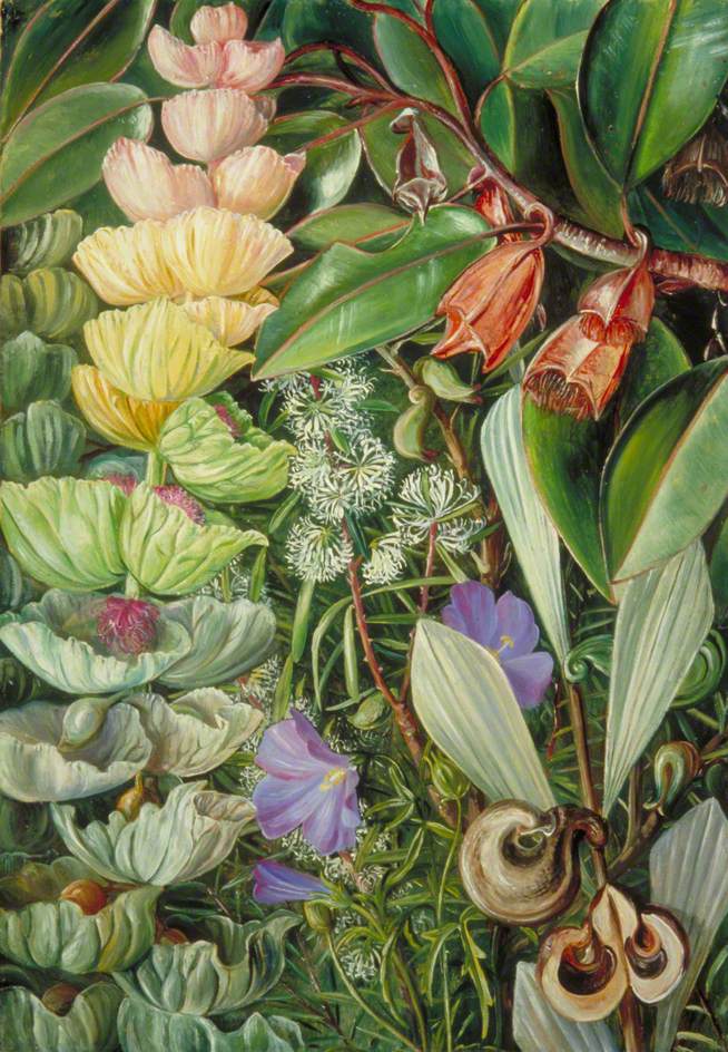 no HD illustration available (3)