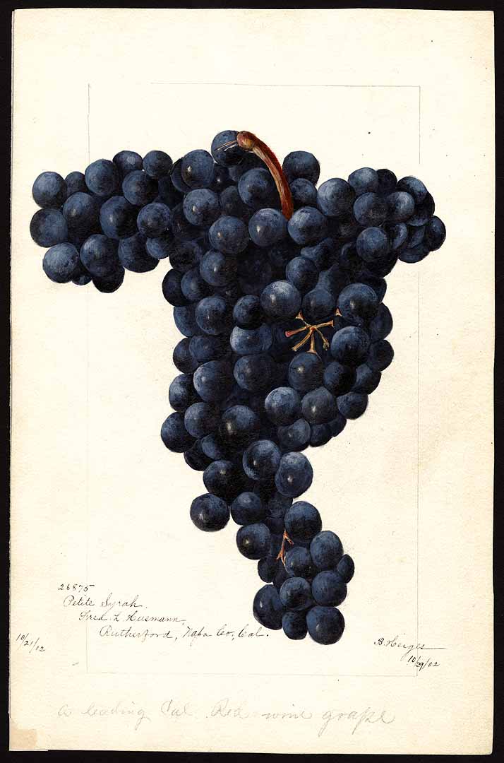 no HD illustration available (3)