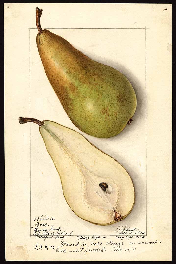 no HD illustration available (3)