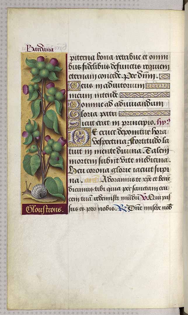 no HD illustration available (3)