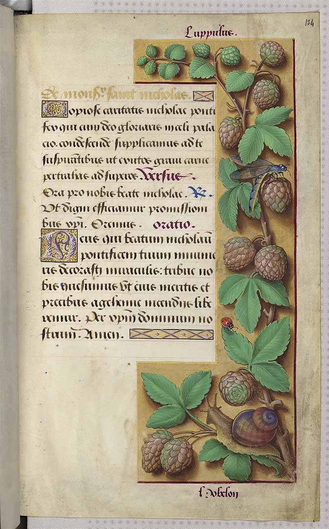 no HD illustration available (3)