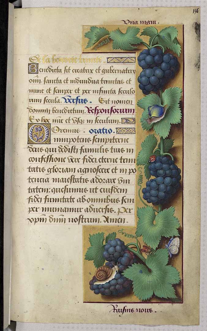 no HD illustration available (3)