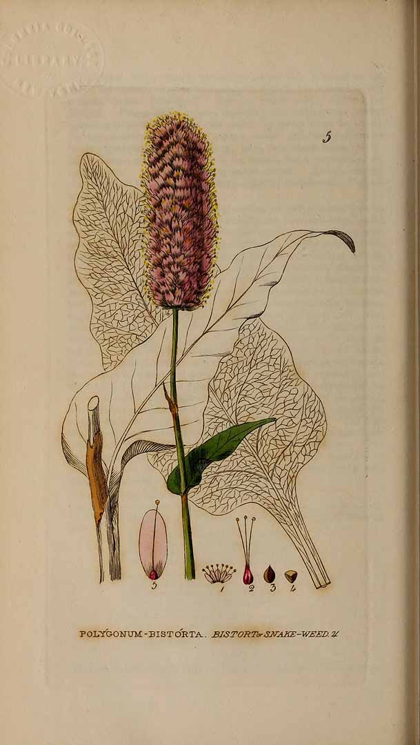 no HD illustration available (3)