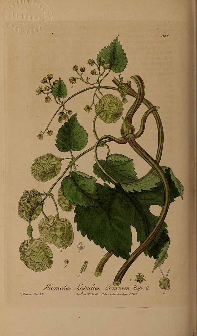 no HD illustration available (3)