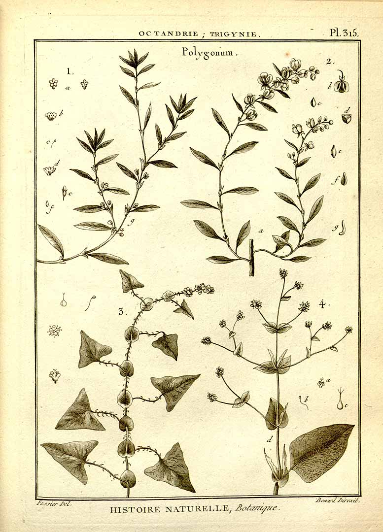 no HD illustration available (3)