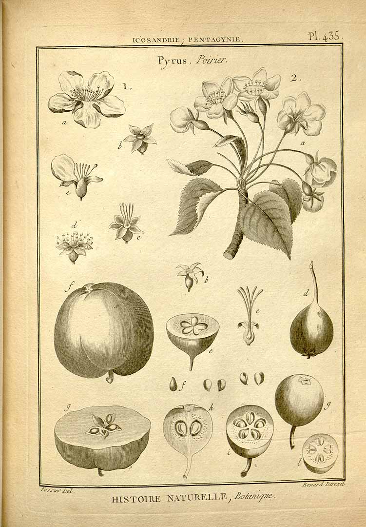 no HD illustration available (3)