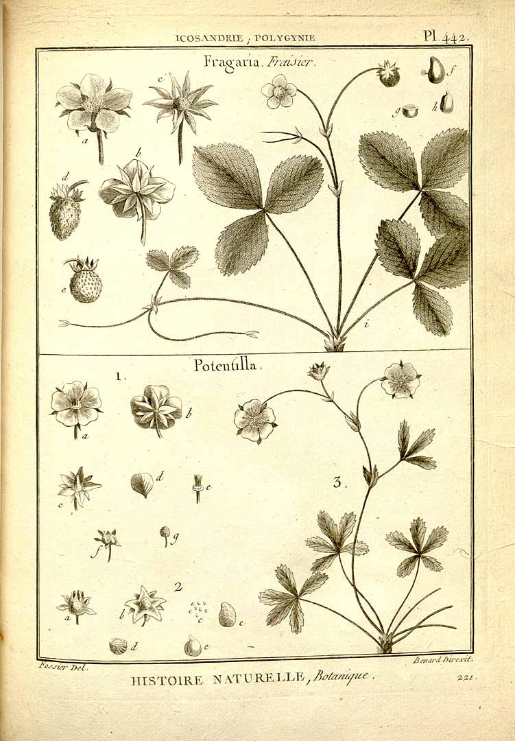 no HD illustration available (3)