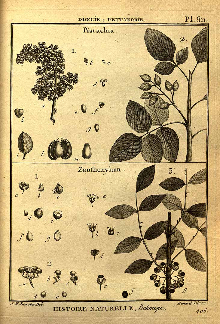 no HD illustration available (3)