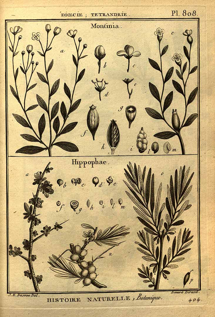 no HD illustration available (3)