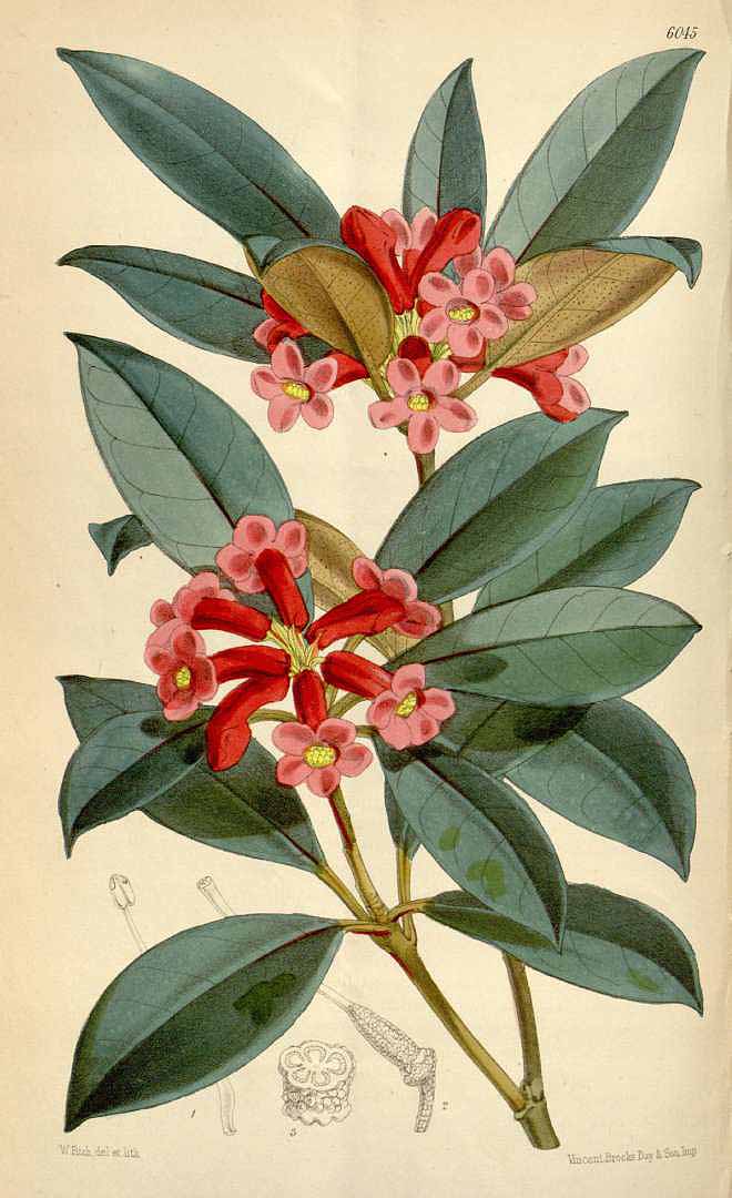 no HD illustration available (m3)