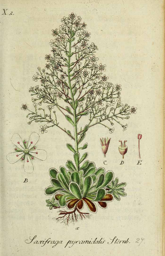 no HD illustration available (3)