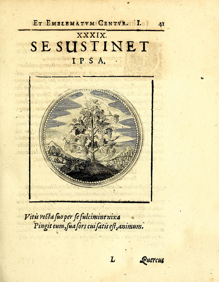 no HD illustration available (3)