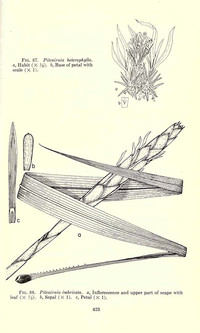 no HD illustration available (3)