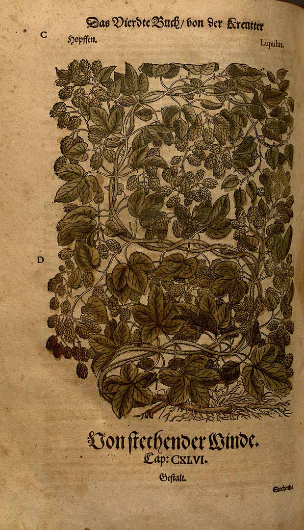 no HD illustration available (3)