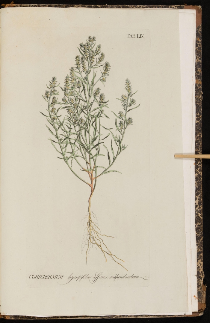 no HD illustration available (3)