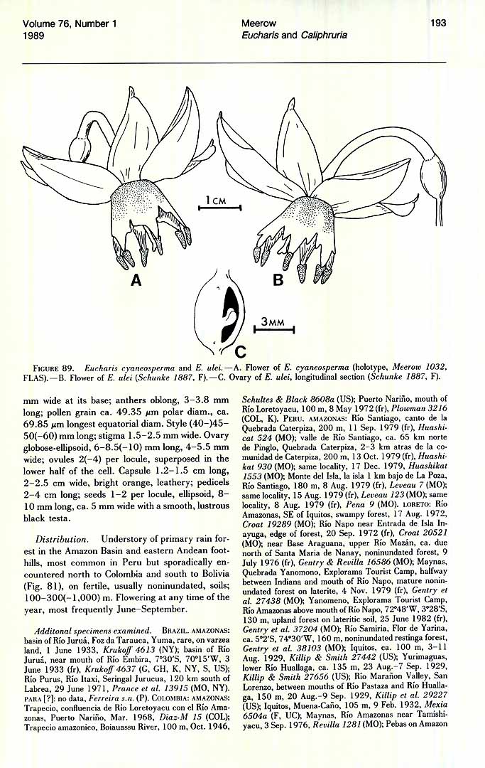 no HD illustration available