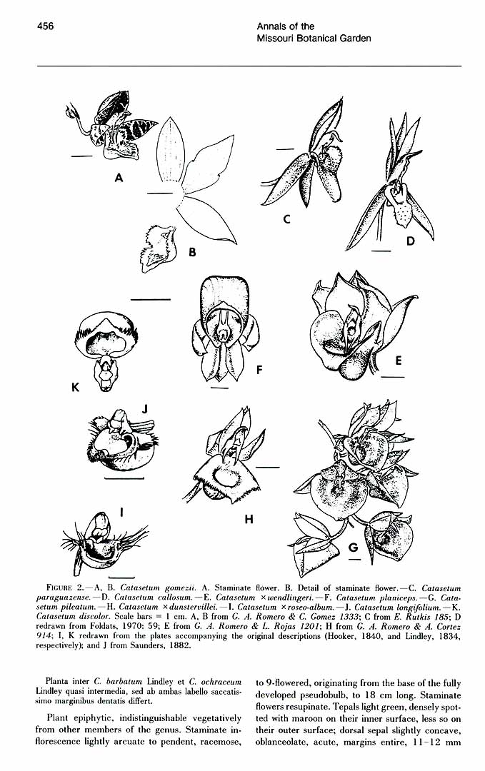 no HD illustration available