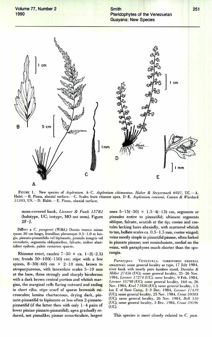 no HD illustration available